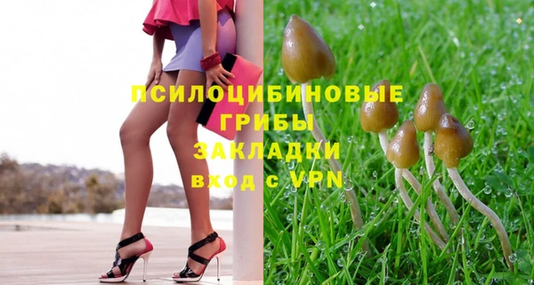 бошки Баксан