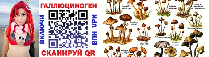Псилоцибиновые грибы Psilocybine cubensis  Ядрин 
